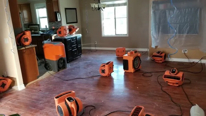 Proremedy SWFL Picture 2