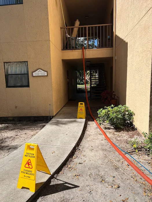 Roy Carpet Cleaning & Restoration Picture 2