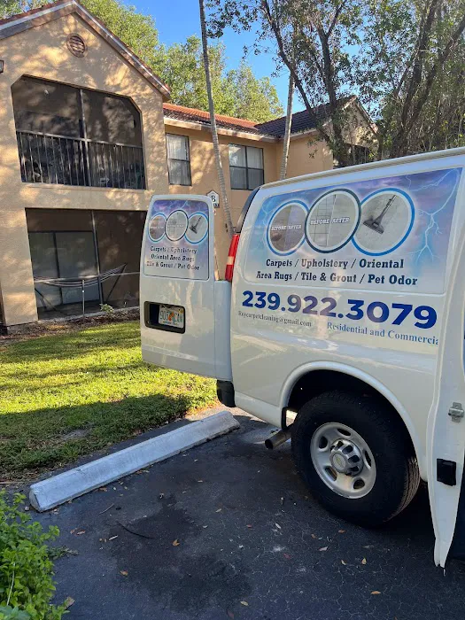 Roy Carpet Cleaning & Restoration Picture 7