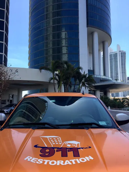 911 Restoration of Naples Picture 8