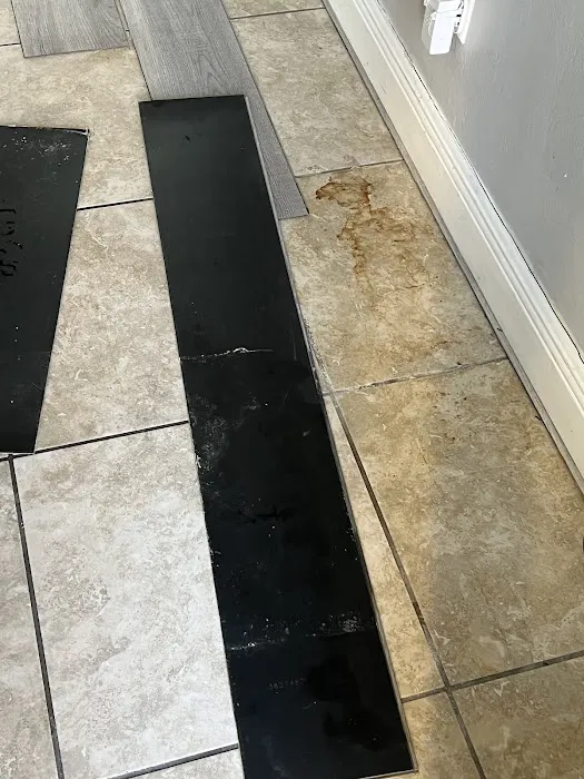 Joe Taylor Restoration- Southwest Florida Picture 6