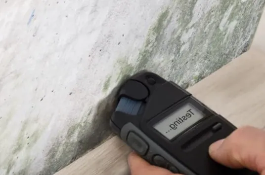 Razant Mold Picture 3