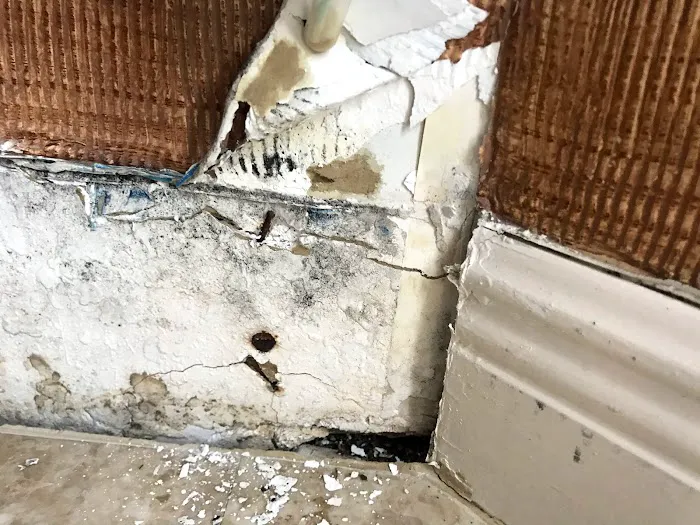 Services 3,2,1 Corp Picture 7