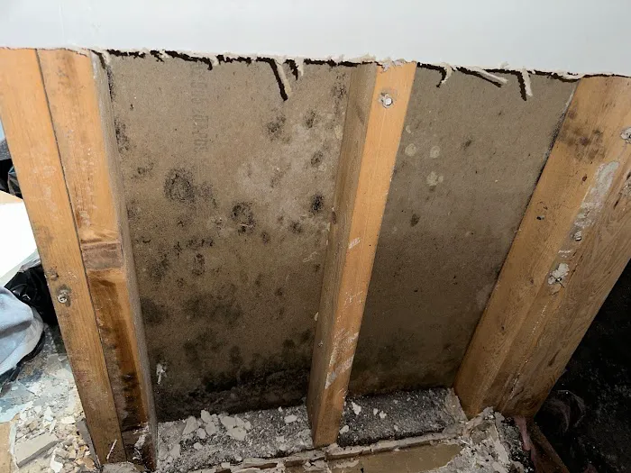 Gulf Coast Mold Assessing & Remediation Picture 3