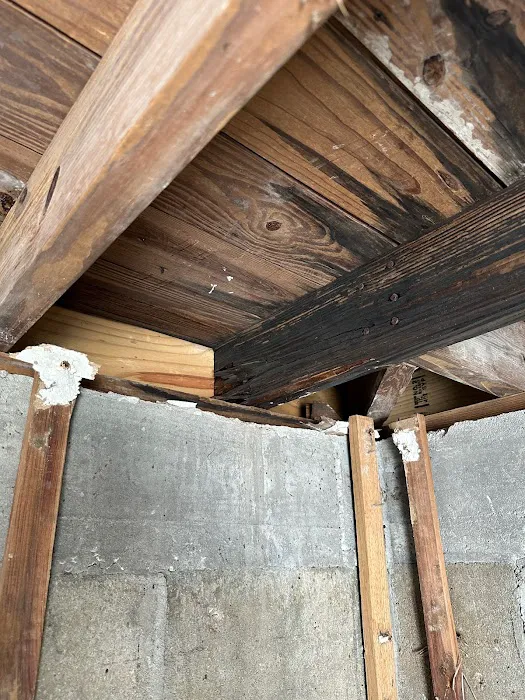 Gulf Coast Mold Assessing & Remediation Picture 6