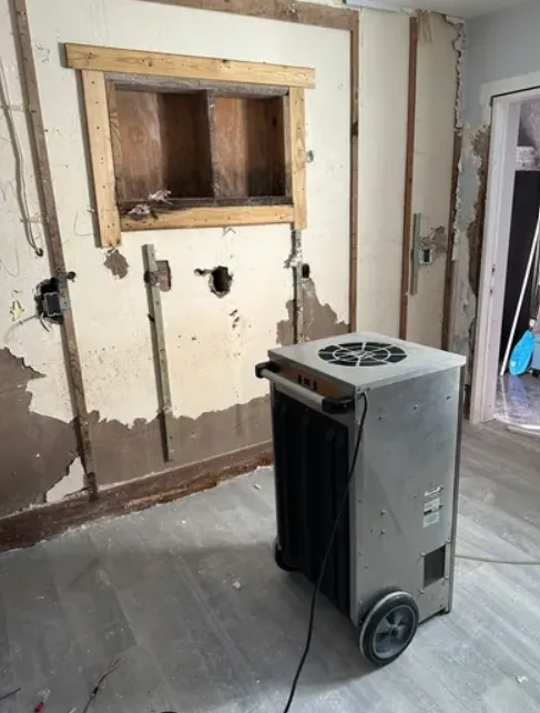 Gulf Coast Mold Assessing & Remediation Picture 2