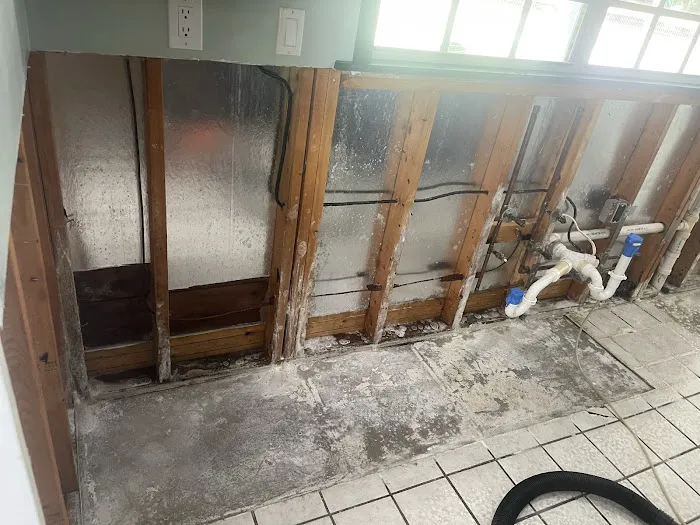 Gulf Coast Mold Assessing & Remediation Picture 9