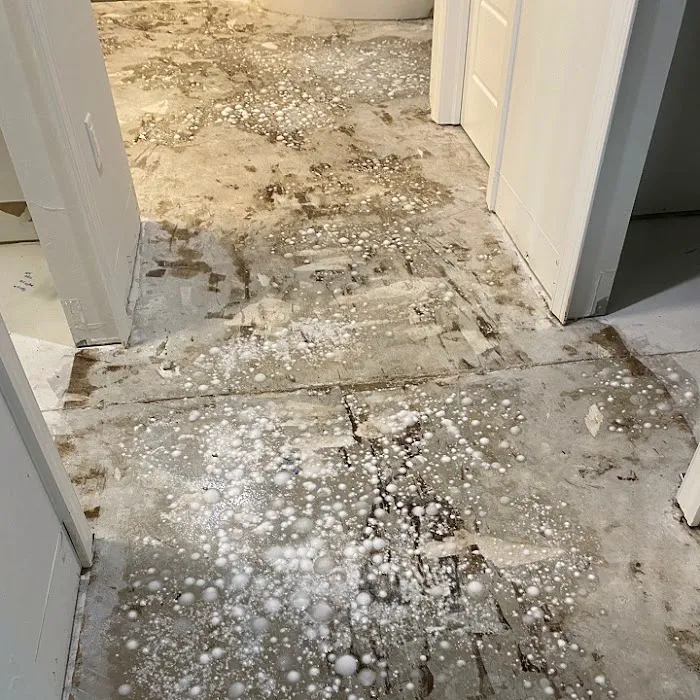 SERVPRO of East Naples Picture 6