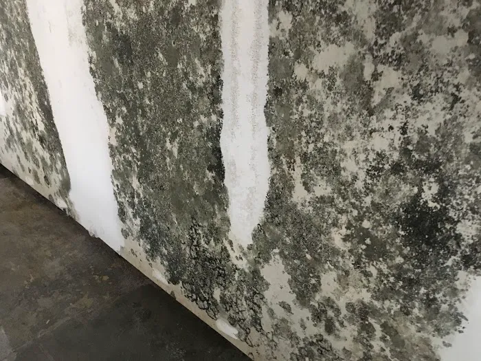 PuroClean of Naples Picture 4