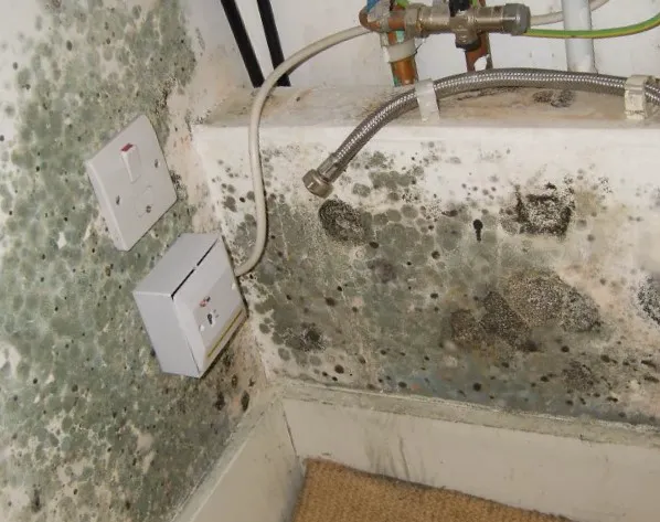 Kaminari Mold Picture 4