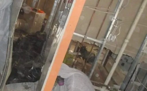 Kaminari Mold Picture 1