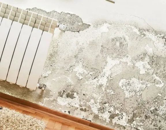 Kaminari Mold Picture 5