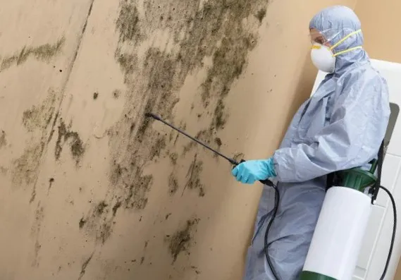 Kaminari Mold Picture 3