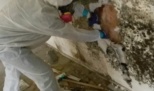 Kaminari Mold Picture 2