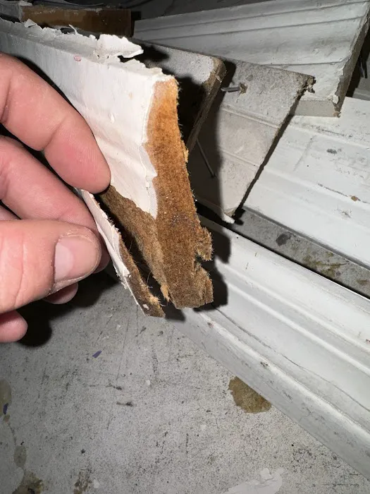 ATI Restoration Picture 3