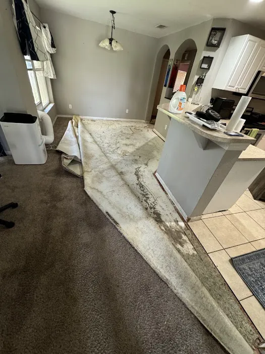 ATI Restoration Picture 1