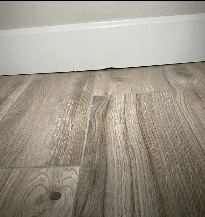 BELFOR Property Restoration Picture 10