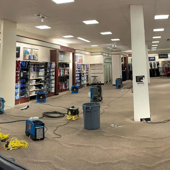 Armstrong Water Mold Cleanup Picture 7