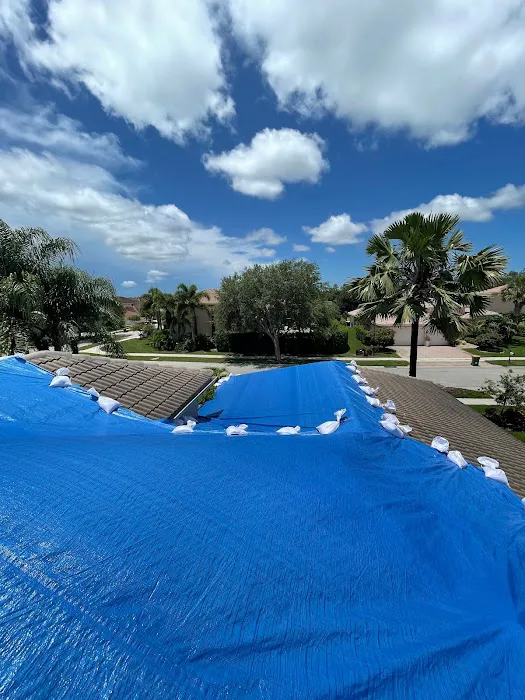 Armstrong Water Mold Cleanup Picture 2