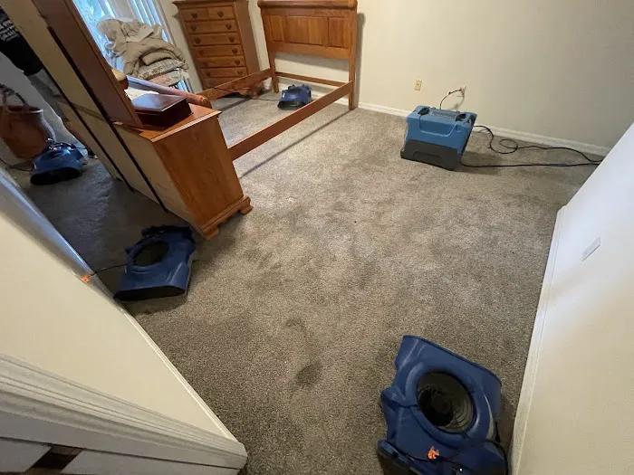 Armstrong Water Mold Cleanup Picture 10