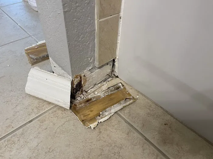 Armstrong Water Mold Cleanup Picture 9