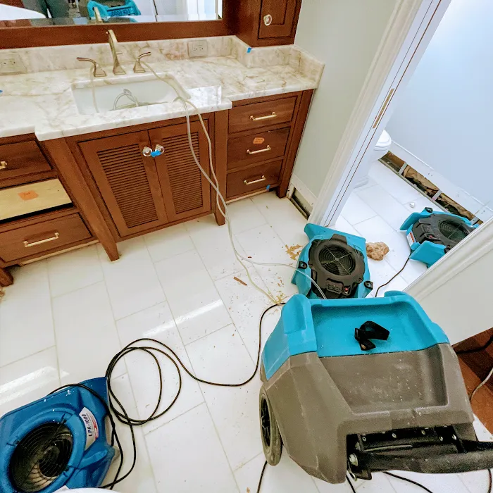 Armstrong Water Mold Cleanup Picture 4