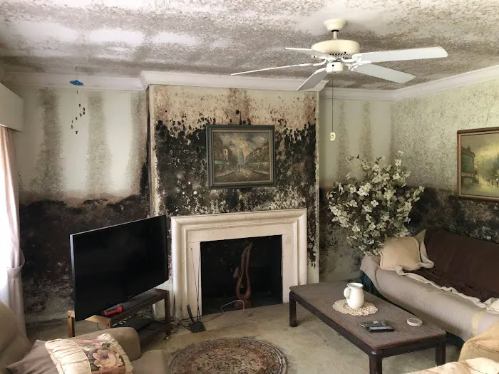 DryZone, Inc. Picture 9