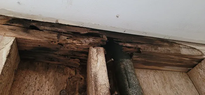 DryZone, Inc. Picture 6