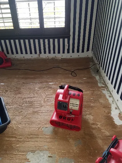 United Restoration Picture 4