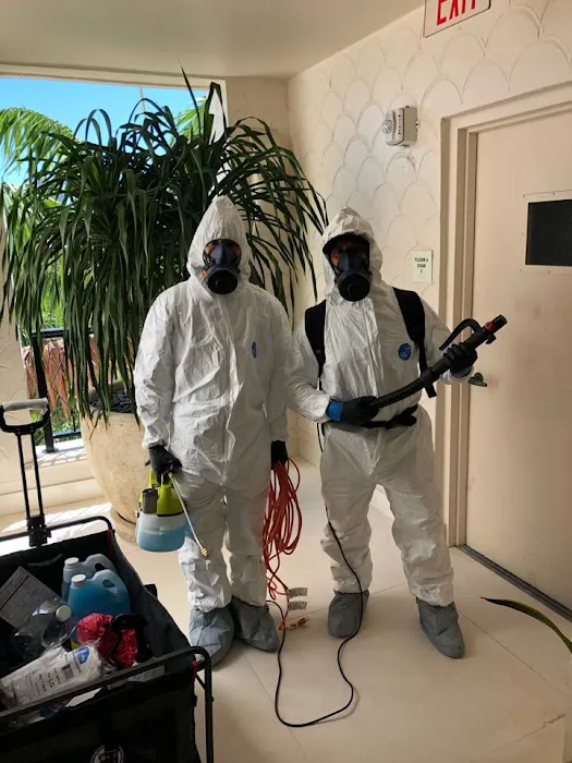 United Restoration Picture 6