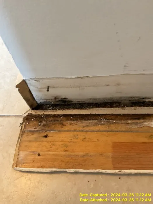 Rytech of Lee & Collier Counties Picture 8