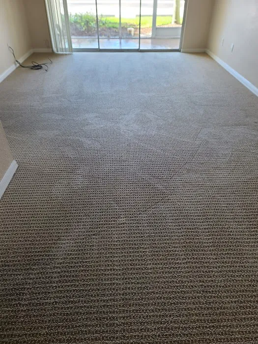 Stanley Steemer Picture 6