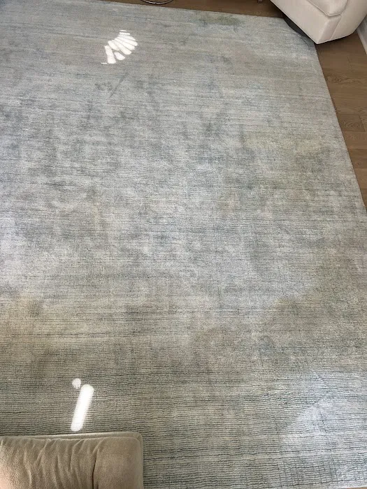 Stanley Steemer Picture 7