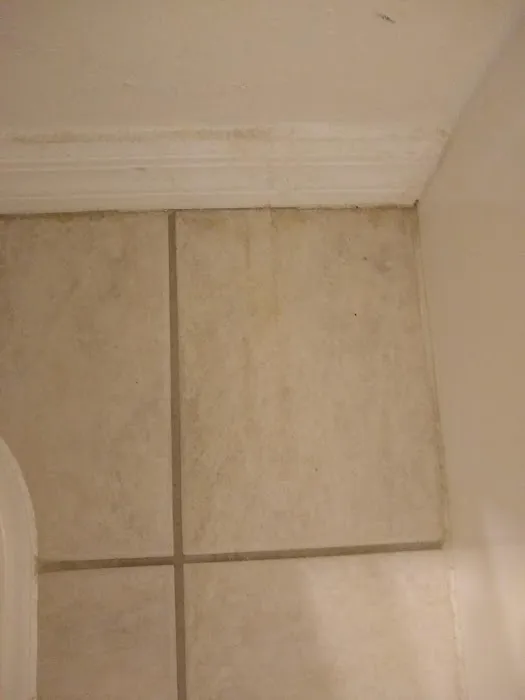 Stanley Steemer Picture 3