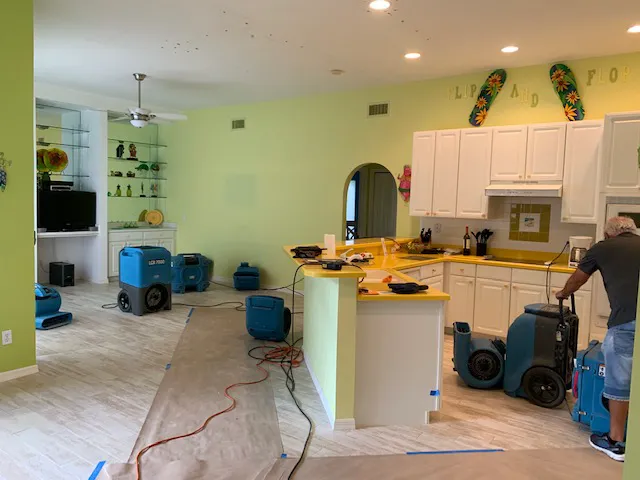 Florida Dry Restoration Picture 7