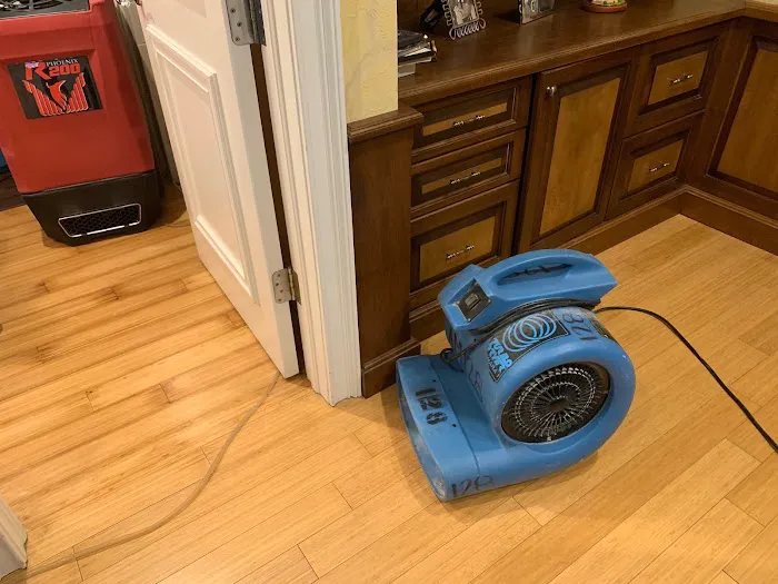 Florida Dry Restoration Picture 9