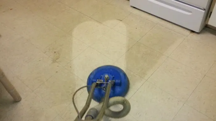 MOLD OR US Picture 1