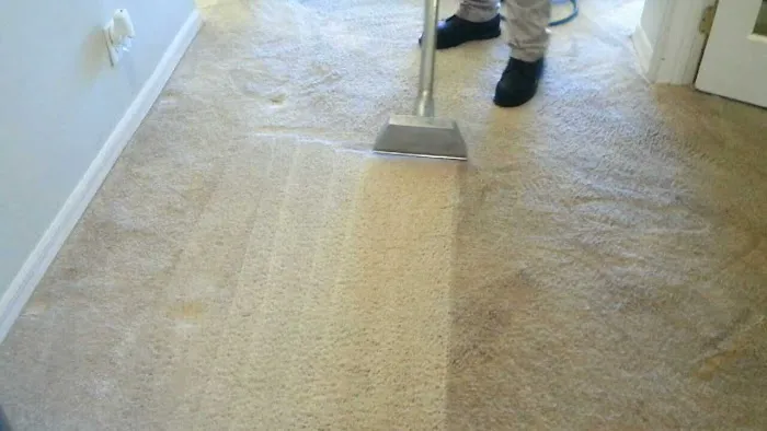 MOLD OR US Picture 6