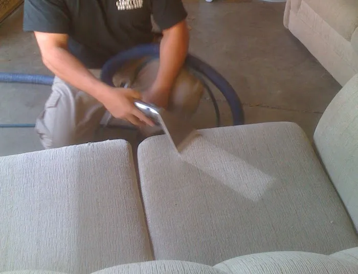 MOLD OR US Picture 2