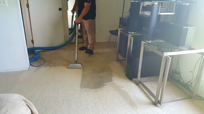 MOLD OR US Picture 3