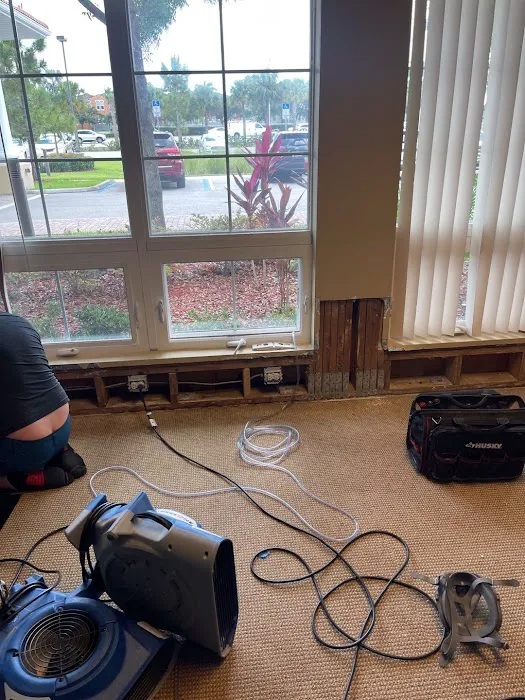 Affordable Water Restoration Picture 3