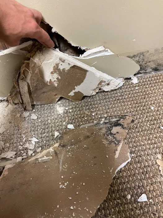 Affordable Water Restoration Picture 2