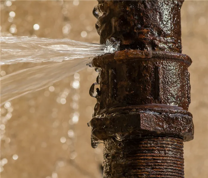 True North Restoration of SW Florida Picture 10