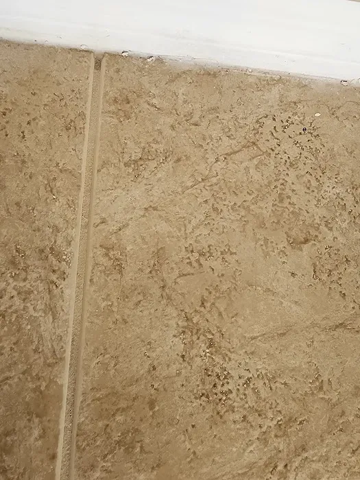 Stanley Steemer Picture 9