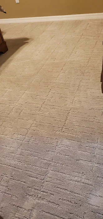 Stanley Steemer Picture 6