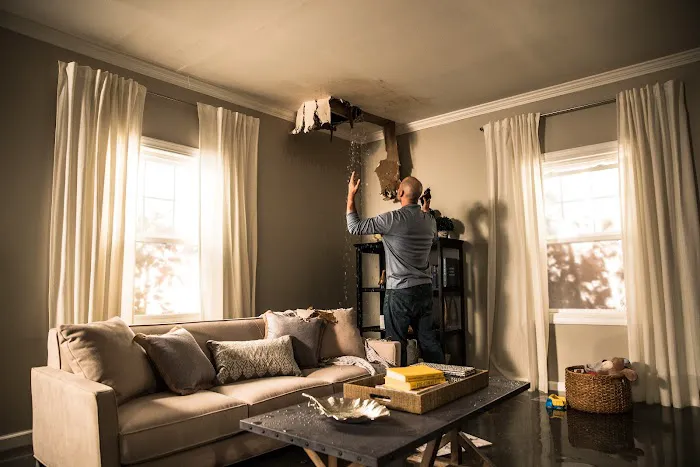 ServiceMaster DSI - Fort Myers FL Picture 5