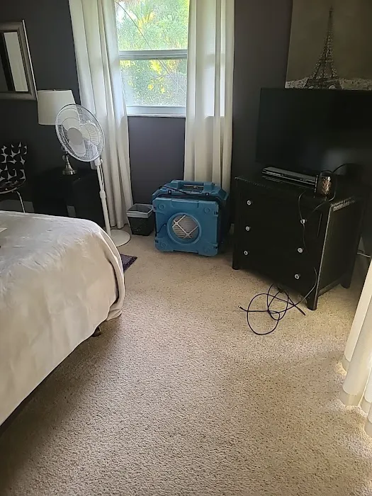 Affordable Mold Removal Experts Picture 10