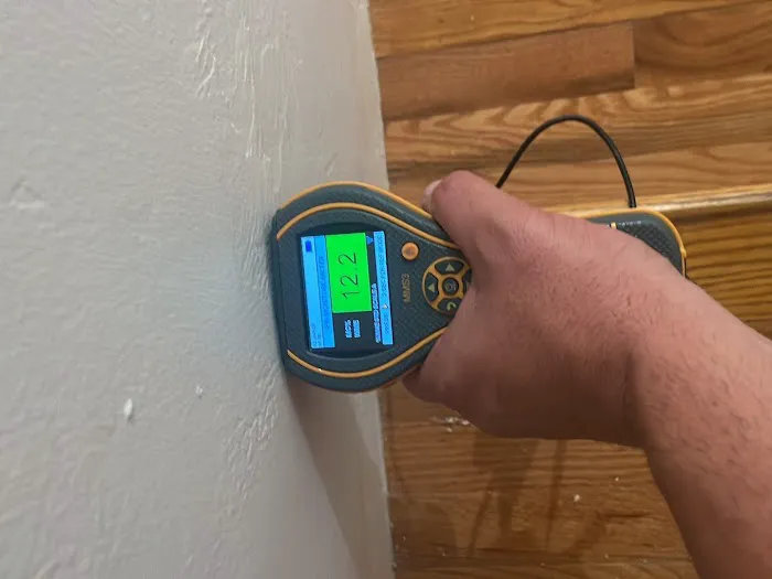 Affordable Mold Removal Experts Picture 3