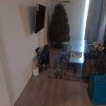 Affordable Mold Removal Experts