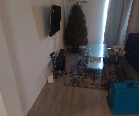 Affordable Mold Removal Experts